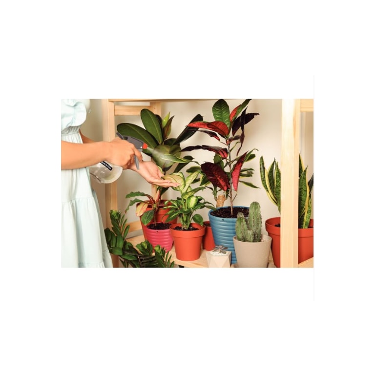 image_e7d293c5-641b-463e-955e-95c80079cb94