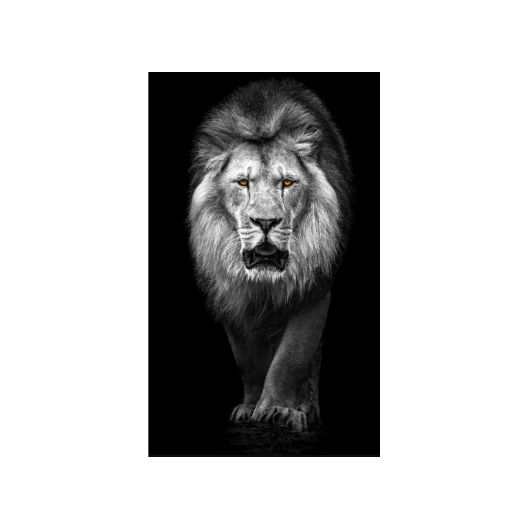 Product main image - a63344ff-bff2-4394-b833-41bda971ac16