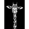 Quadro C/Vidro 40X60 Girafa Art Conceito