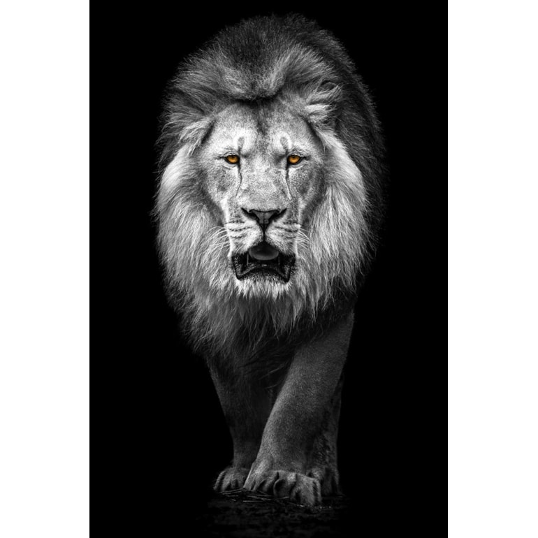 Product main image - 87ba64b8-e5c1-4ebd-8b21-29d190e552c7