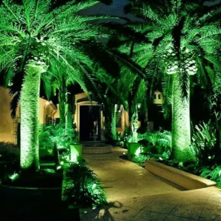 image_fb619f67-b288-443e-8a34-cf6992acb9af