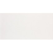 Revestimento Cerâmico Brilhante Clássico A Caixa 2,37m² 30x60cm Branco Pointer