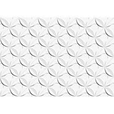 Revestimento Interno e Externo Acetinado Dália Branco 45x65cm Caixa 1,65m² Ceusa 