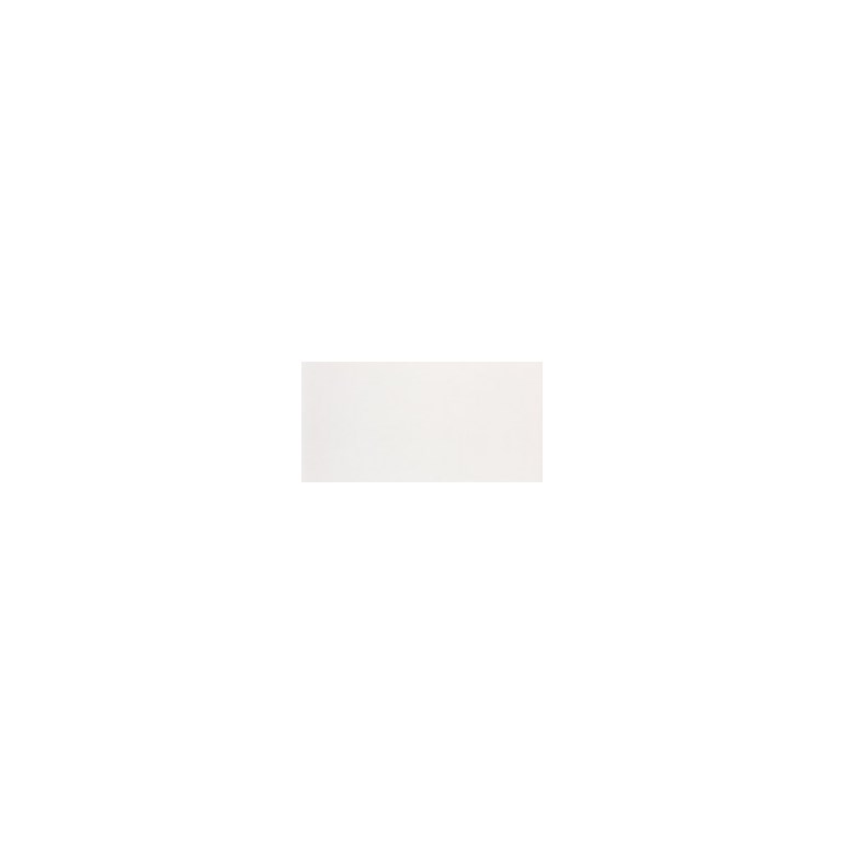 Revestimento para Parede 30x60cm Tipo A  Clássico Branco Caixa 2,37m² Pointer