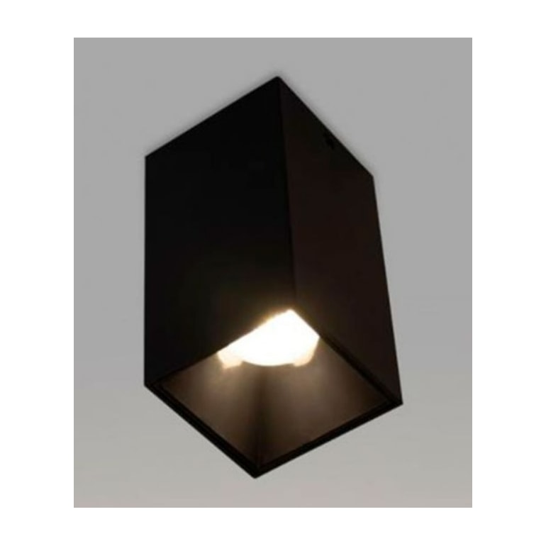 image_f71898cf-dcfe-47a1-90fa-6a485a39ad09