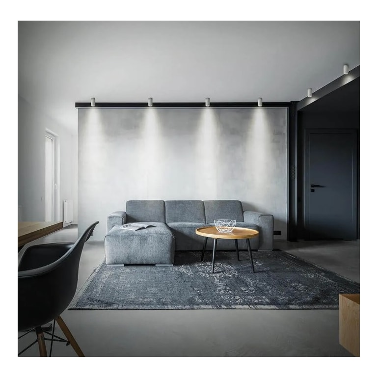 image_fd1617c4-2e2a-461c-9b9a-4cc2edda917b