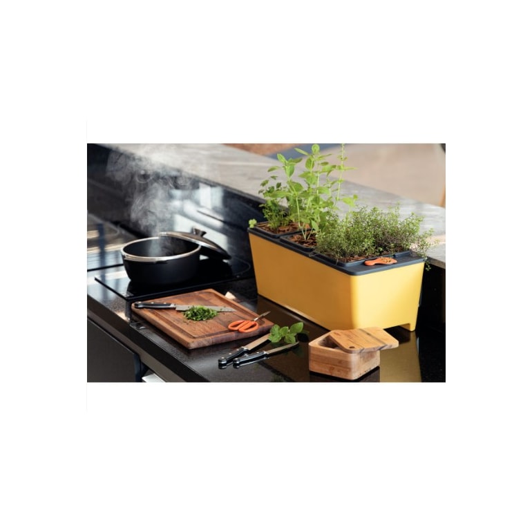 image_eeb2a2bb-48e0-4463-a6cc-6e5ca6321739