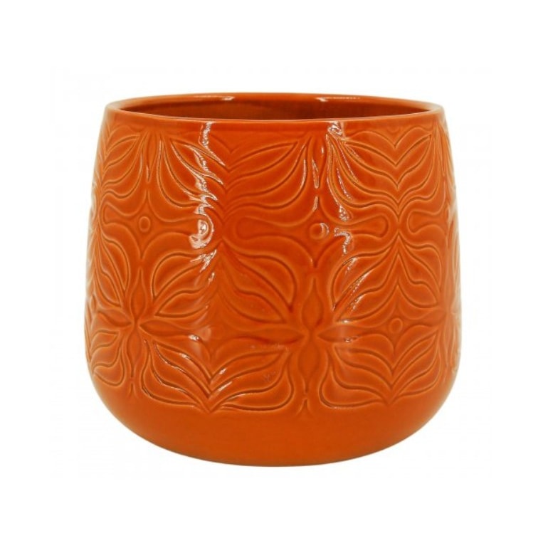 Product main image - dbb10a4c-018b-4abc-a7b4-d310dc750f44