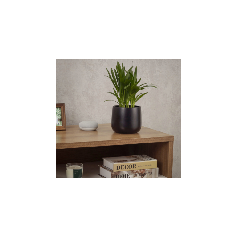 image_a400848a-b354-4a8f-847b-a8efc40ef322