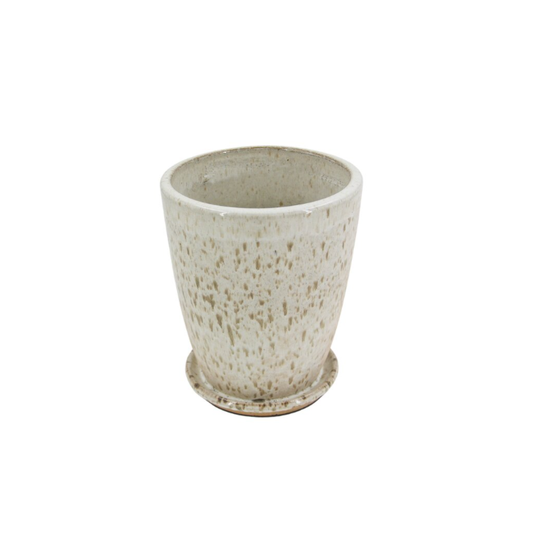 image_a4979319-f600-4e3e-8419-dcebeaf74bdd