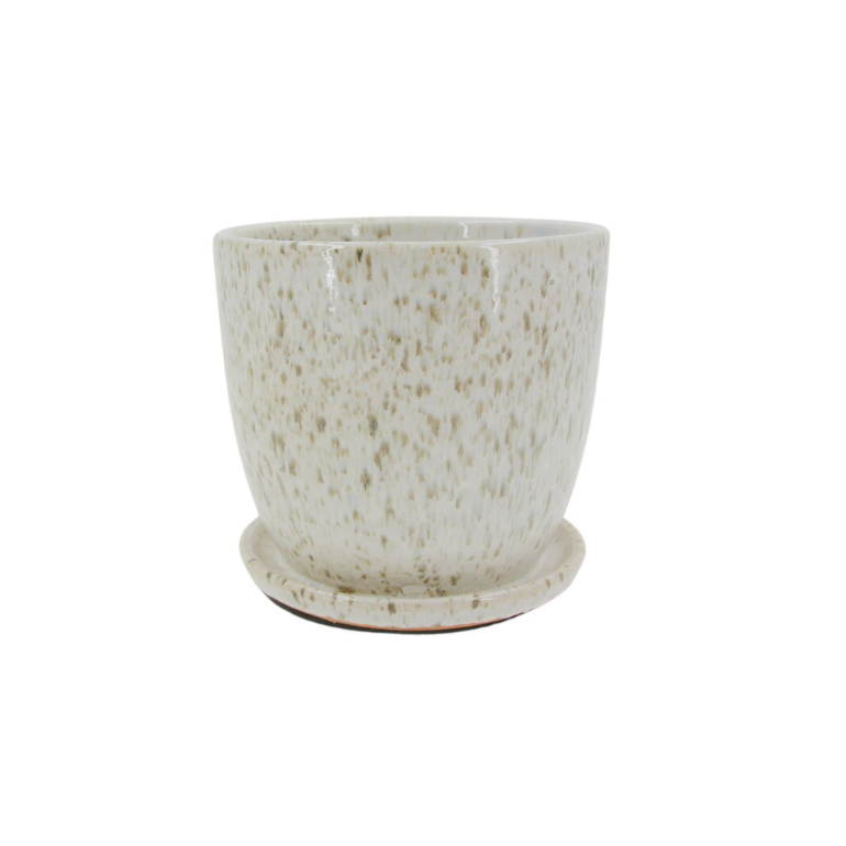 Product main image - 1eee621c-764a-4d9e-bb03-e89e0d66d93a