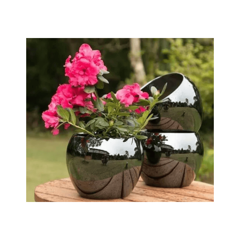 image_681b480d-a39a-43b5-aed7-934387f7d469