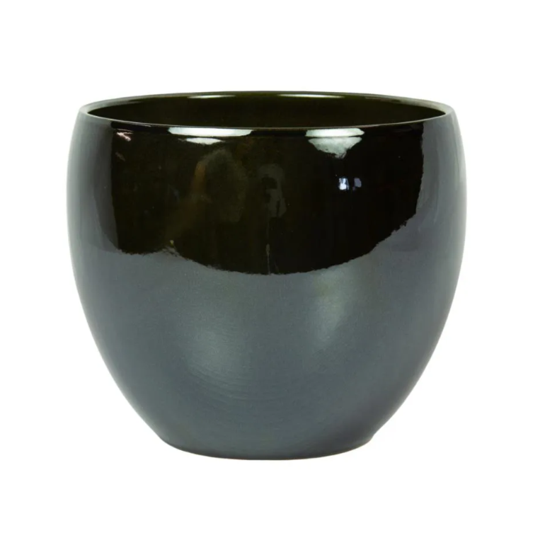 Product main image - 37cf77b9-f151-4275-87c1-200e4c4ac2e0