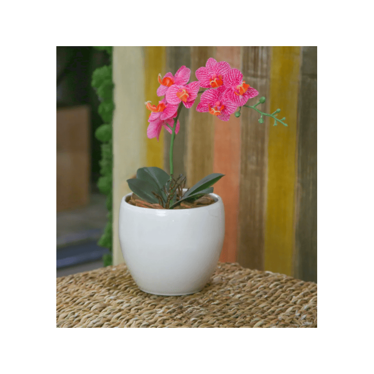 image_c4174f13-16ae-463b-97c5-f609a86cef1d