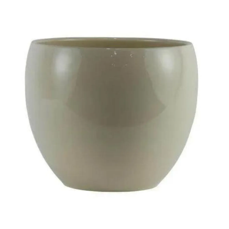 Product main image - 0273889d-d894-440e-986e-e1c513c70d4d