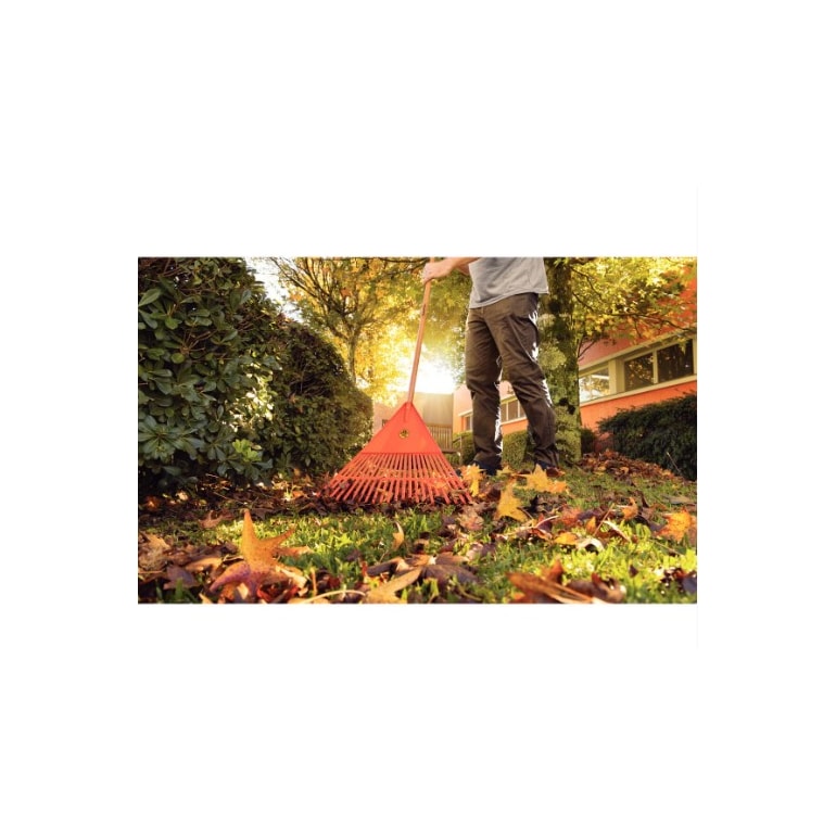 image_603718a4-be23-4d5e-9546-6dfa4604aa73