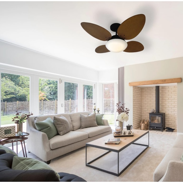 image_ff861510-3603-442a-83a5-2d82852b9980